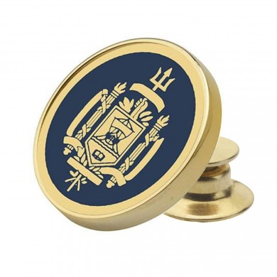 Gold Naval Academy Lapel Pin